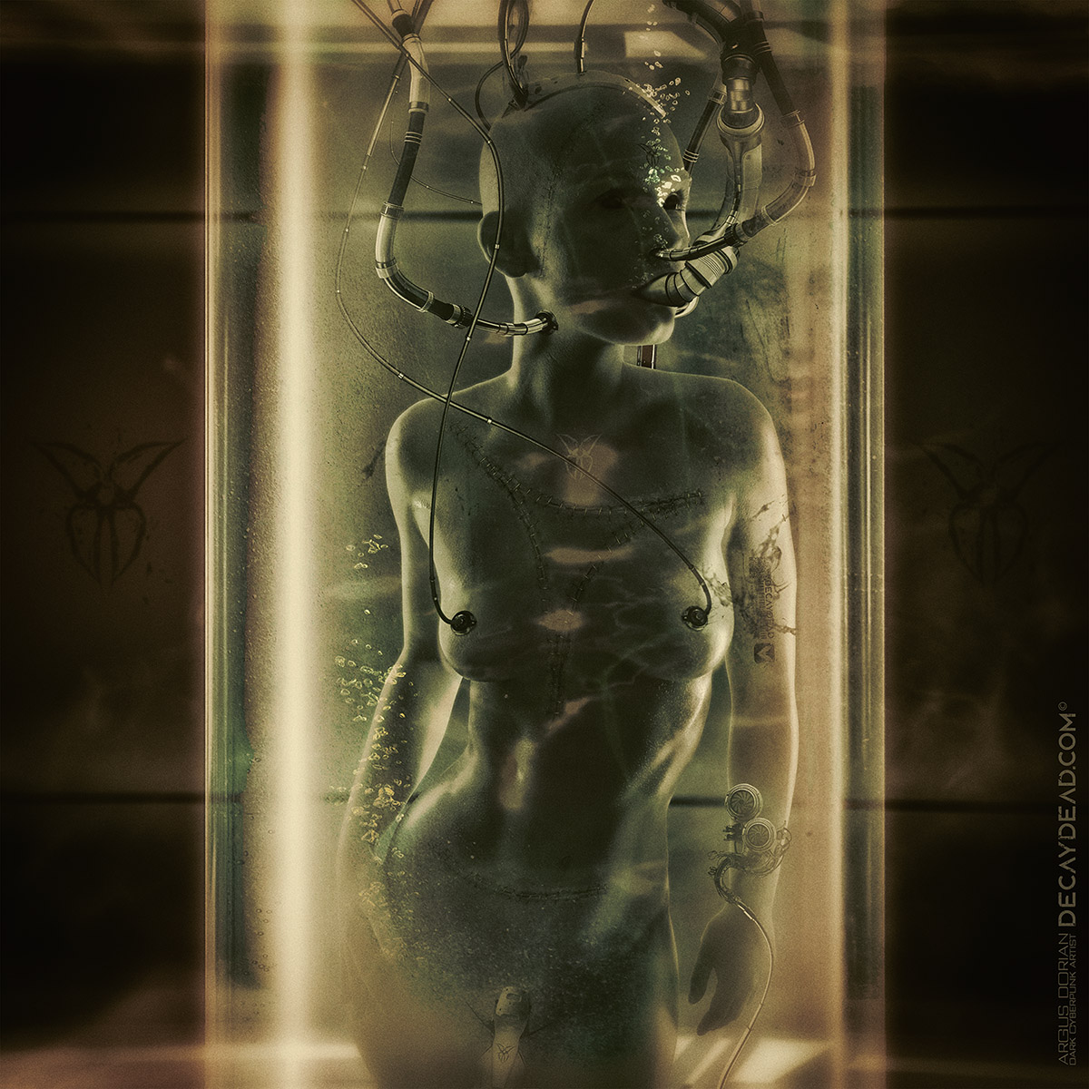 Phase 01 – Experiment Combine the DNA Phase 01 - Experiment Combine the DNA