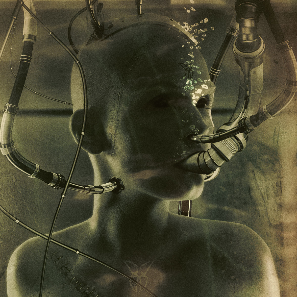 Phase 01 – Experiment Combine the DNA Phase 01 - Experiment Combine the DNA
