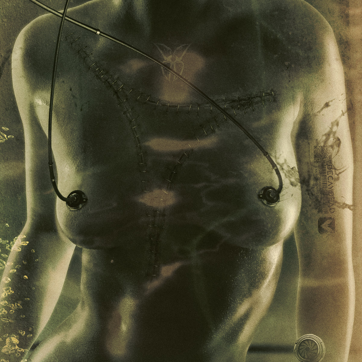 Phase 01 – Experiment Combine the DNA Phase 01 - Experiment Combine the DNA